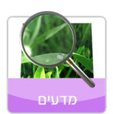 מדעים